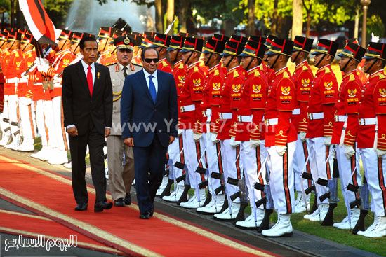 اليوم السابع -9 -2015